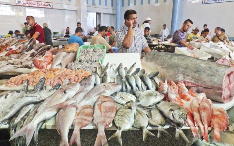 أسعار السمك اليوم للمستهلك الخميس 18 أبريل 2024 وفي سوق العبور