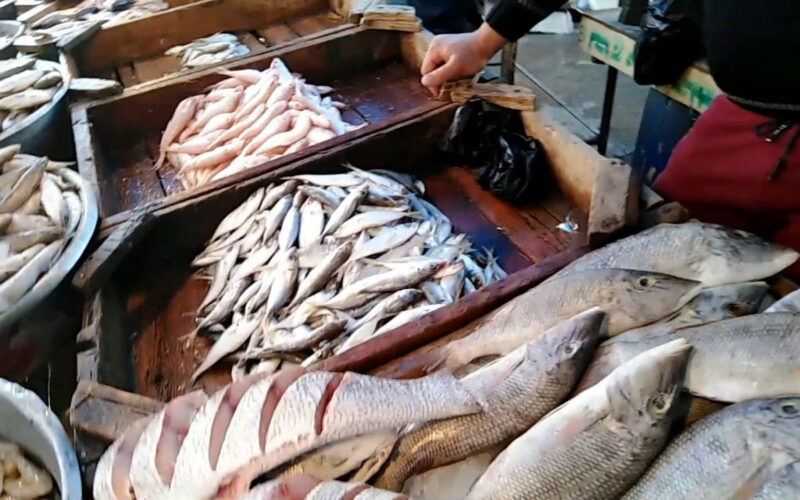 اسعار السمك اليوم الخميس 4 ابريل 2024 في سوق العبور بمصر