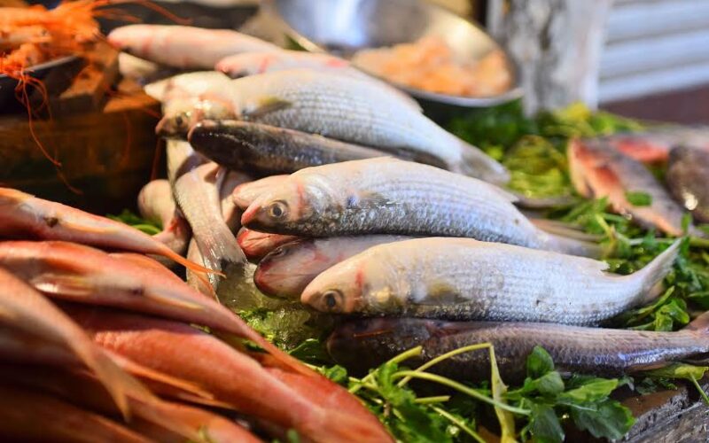 تراجع في أسعار السمك اليوم الأحد 28 أبريل 2024 في سوق العبور