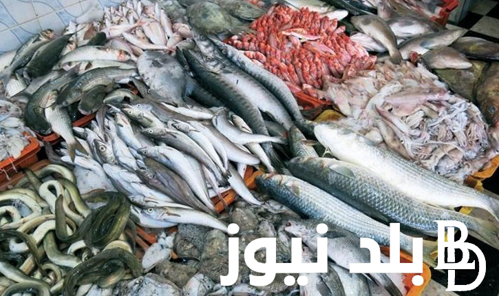 أسعار السمك اليوم البلطي السبت 27 رمضان 2024 في سوق العبور