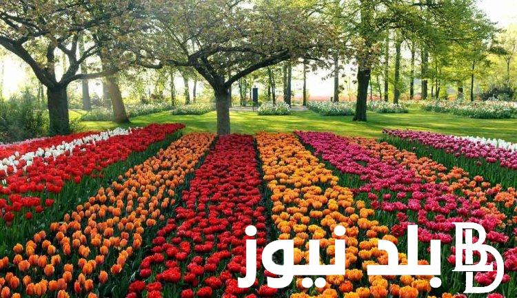 وزارة الزراعة واستصلاح الاراضى تُوضح ميعاد معرض الزهور 2024 في مصر