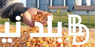 “الأرجنتيني والبرازيلي” سعر الذرة اليوم الاربعاء 3-4-2024 للمُستهلك في جميع الاسواق المحلية