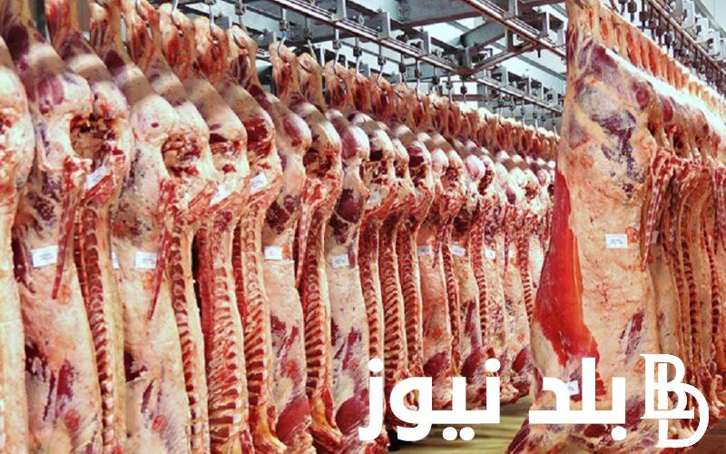 اللحمة وصلت كام؟.. اسعار اللحوم اليوم الاربعاء 24 ابريل 2024 في جميع محلات الجزارة