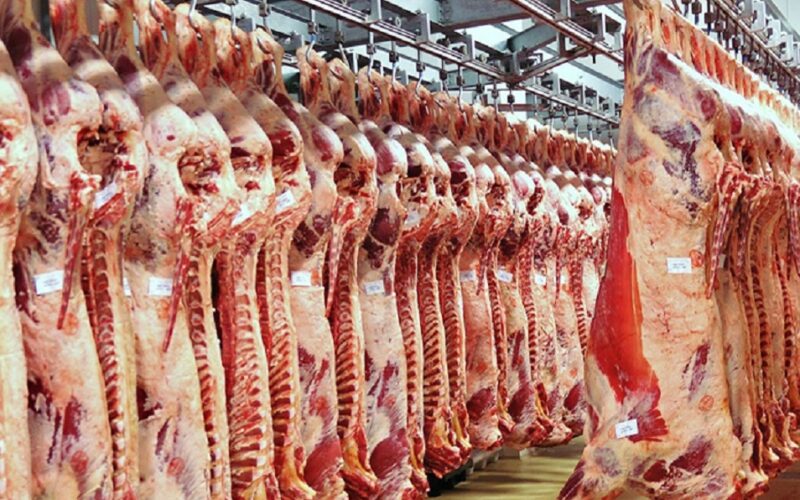 الكندوز بكام؟.. اسعار اللحوم اليوم الخميس 18 ابريل 2024 في جميع محلات الجزارة ومنافذ وزارة الزراعة