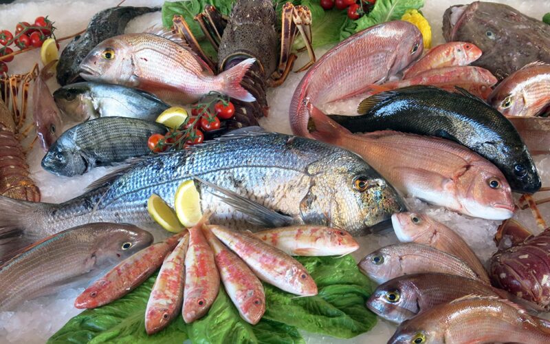 قائمة اسعار السمك اليوم الأحد 7 أبريل 2024 بجميع الأسواق المصرية