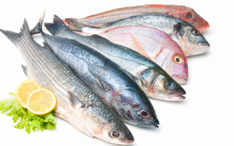 “البلطي بكام” أسعار السمك اليوم للمستهلك الاثنين 29 ابريل 2024 في مصر