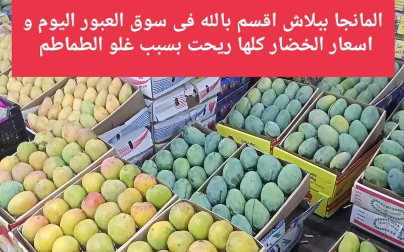 أسعار الخضروات في سوق العبور اليوم الاحد 14 ابريل 2024 للمستهلك والتجار