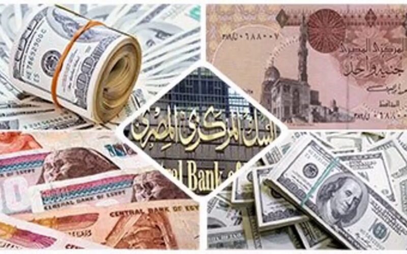 “أفضل العملات” أسعار العملات في مصر اليوم الأربعاء 24 أبريل 2024 مقابل الجنيه المصري في البنك المركزي المصري