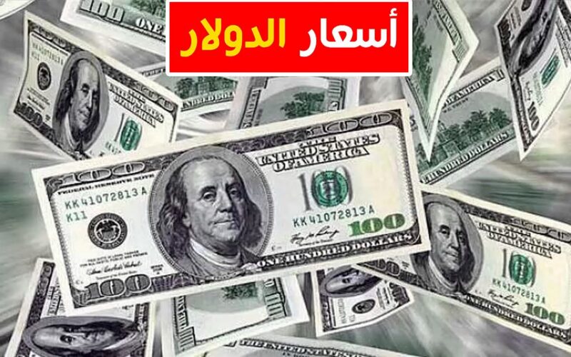“الأخضر على كام” سعر الدولار مقابل الجنيه المصري الان الاثنين 8 ابريل 2024 في السوق السوداء وفي البنوك المصرية