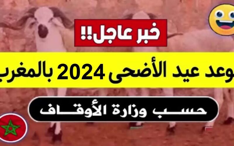 موعد عيد الاضحى 2024 بالمغرب حسب وزارة الاوقاف والشؤون الاسلامية وعدد ايام الاجازة