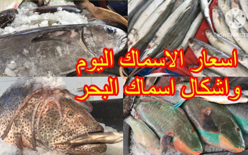 “ضربة للتجار” اسعار السمك اليوم السبت 27 ابريل 2024 بسوق العبور في مصر