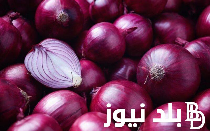 البصل بـ21.. اسعار البصل الاحمر اليوم الثلاثاء 30 ابريل 2024 للمستهلك في سوق العبور