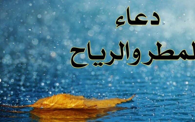 اليكم دعاء نزول المطر فى رمضان 1445 “اللهم افتح لي أبواب رحمتك وارزقني من حيث لا أحتسب”