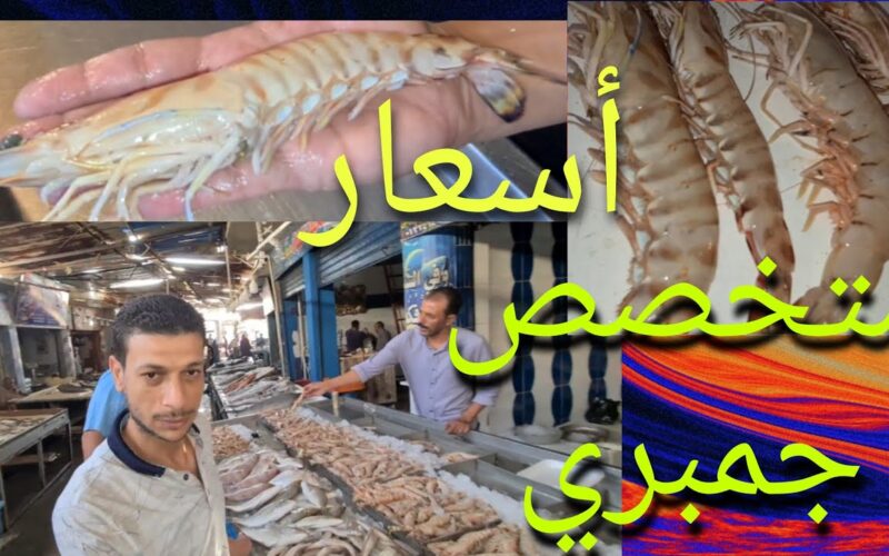 تعرف علي.. قائمة أسعار السمك اليوم البلطي الثلاثاء 23 رمضان 2024 في سوق العبور