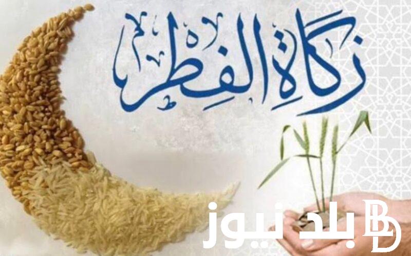 “الحق خرج زكاتك” مقدار زكاة عيد الفطر ٢٠٢٤ وفقاً لبيان دار الإفتاء المصرية