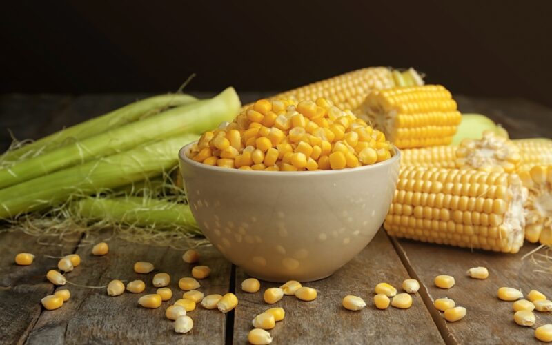 “رفيع و عويج” سعر الذرة اليوم الخميس 25 أبريل 2024 في مصر بجميع الأسواق للمستهلك