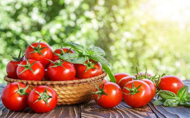 أسعار الطماطم اليوم في سوق العبور الاربعاء 24 ابريل 2024 للمستهلك وتجار الجملة