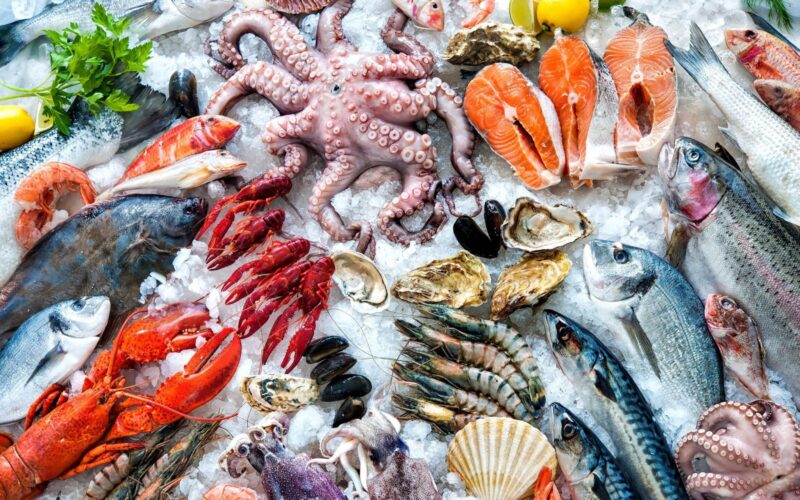 أسعار السمك اليوم للمستهلك بتاريخ الأربعاء 3 أبريل 2024 في سوق العبور