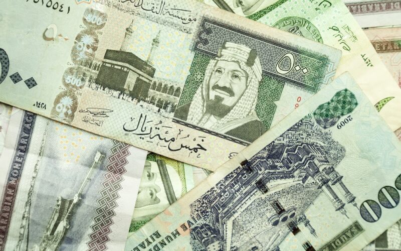 1000ريال سعودي كم يساوي جنيه مصري في السوق السوداء اليوم الأحد 14-4-2024 وبجميع البنوك