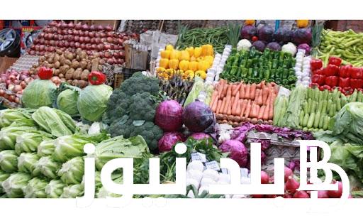 اسعار الخضار سوق العبور اليوم الخميس 18 ابريل 2024 للمُستهلك