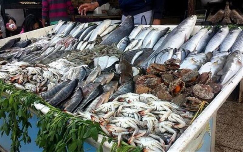 أسعار السمك اليوم للمستهلك الخميس 4 ابريل 2024 بسوق العبور وأسواق التجزئة