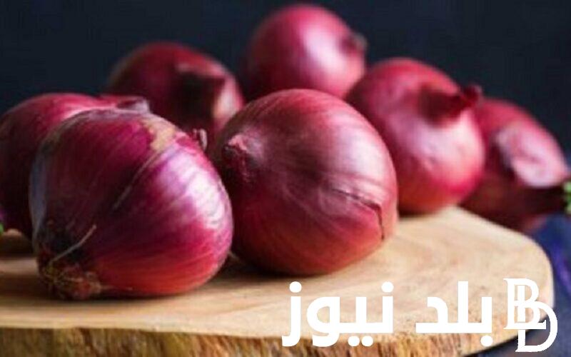 أسعار البصل اليوم في سوق العبور الأحد 7 أبريل 2024 واسعار الخضروات