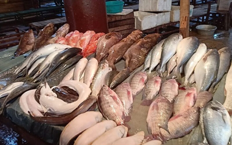 اسعار السمك اليوم الاثنين 1 – 4 – 2024 والجمبري بالأسواق المصرية