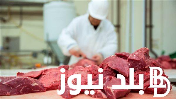“الضاني بــ300 جنيه” اسعار اللحوم اليوم الاثنين 1 ابريل 2024 في المنافذ الحكومية