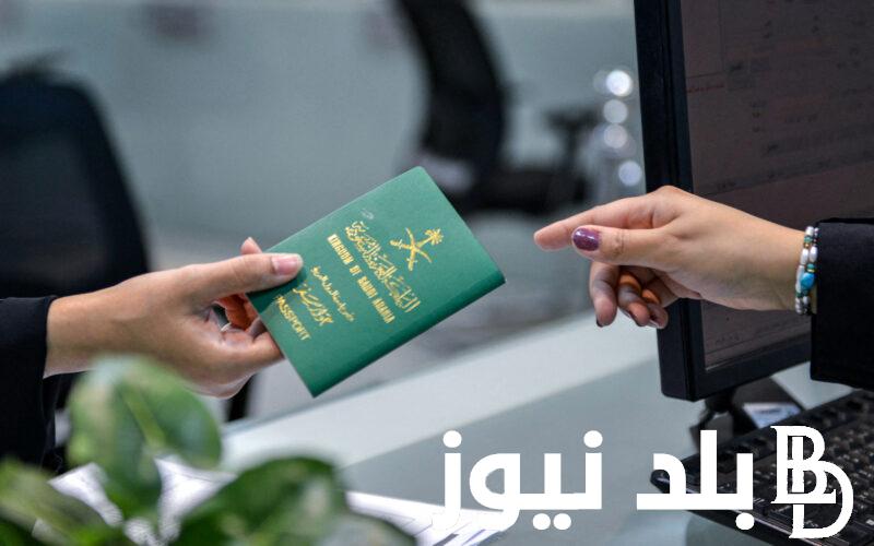 الاستعلام عن تأشيرة السعودية برقم الجواز أو برقم الطلب 2024 وشروط الحصول عليها