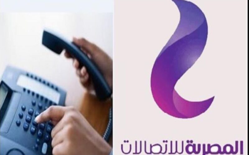 الاستعلام عن فاتورة التليفون الارضي بالرقم لشهر ابريل 2024 من خلال موقع الشركة المصرية للاتصالات