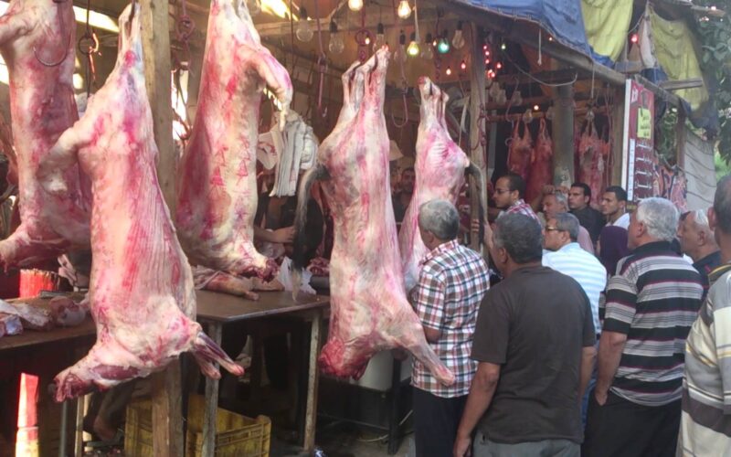 “شوف وصلت كام بعد العيد” أسعار اللحوم اليوم الاثنين 15 ابريل 2024 في محلات الجزارة ومنافذ الحكومة