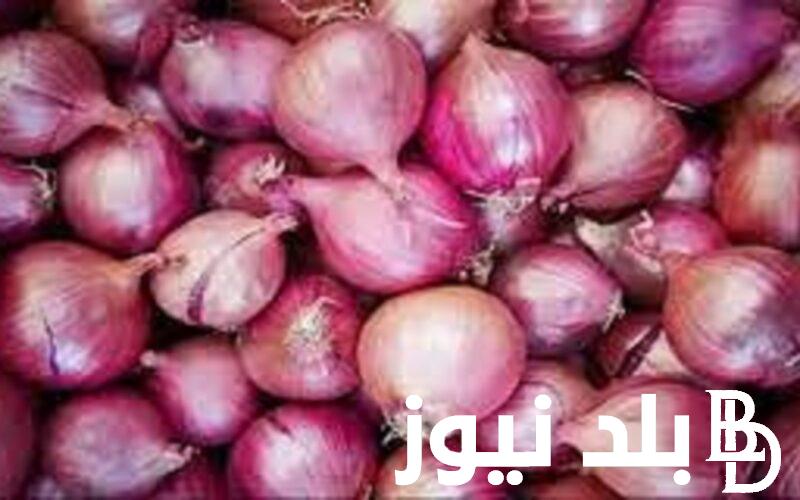 “الكيلو على كام” اسعار البصل اليوم في سوق العبور السبت 6 ابريل 2024 للمستهلك