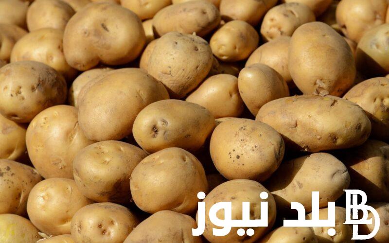 الكيلو بكام؟.. أسعار البطاطس الآن الخميس 25 ابريل 2024 للمستهلك في سوق العبور