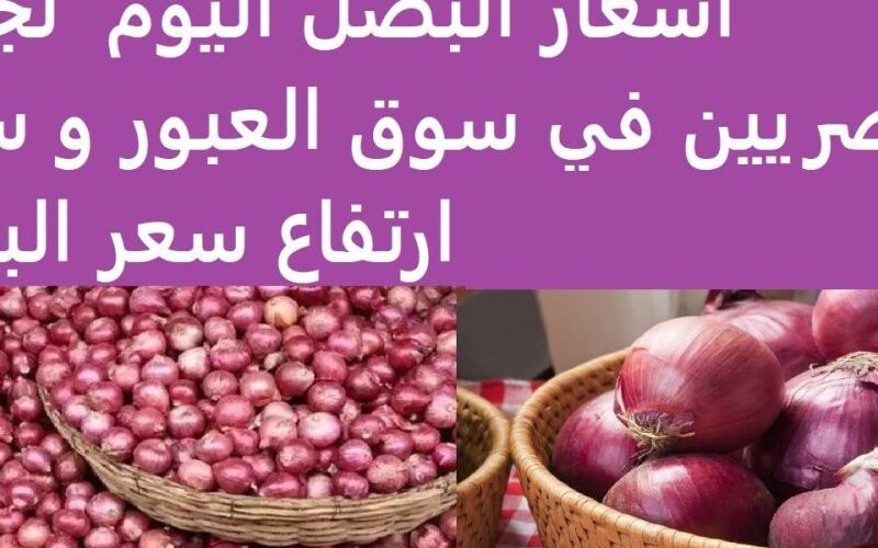 بكام الكيلو؟.. سعر البصل في سوق العبور اليوم السبت 6 ابريل 2024