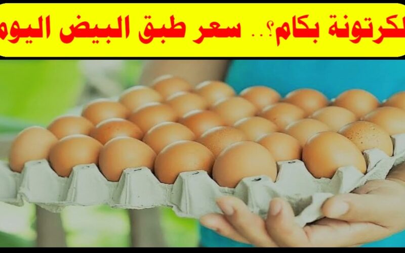 “يواصل التراجع” اسعار البيض اليوم الخميس 18 ابريل 2024 للمستهلك والتاجر في مصر
