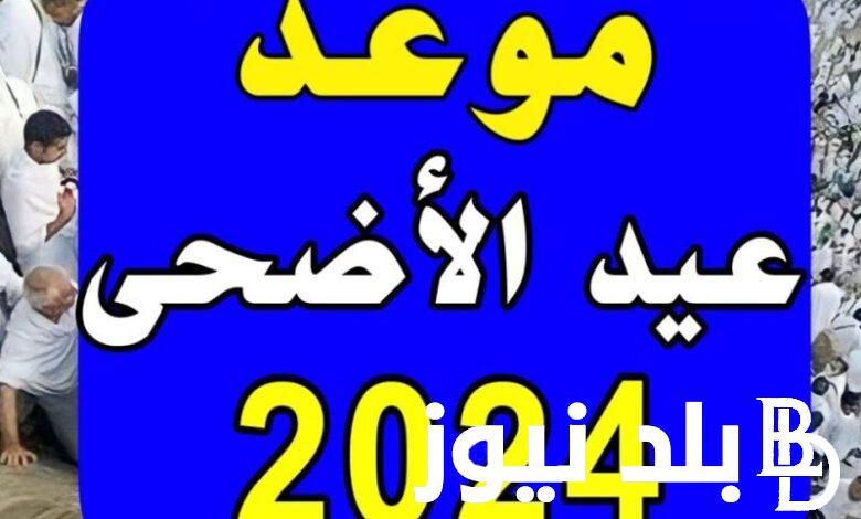 “العد التنازلي” موعد عيد الاضحى المبارك 2024 ووقفة عرفات فلكيًا في مصر