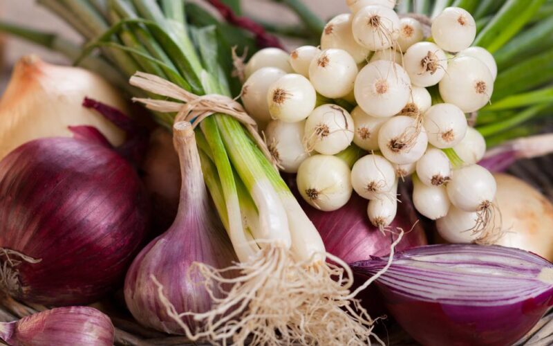 “أبيض وأحمر” أسعار البصل اليوم في سوق العبور الإثنين 1 أبريل 2024 | جدول أسعار الخضار والفاكهة اليوم