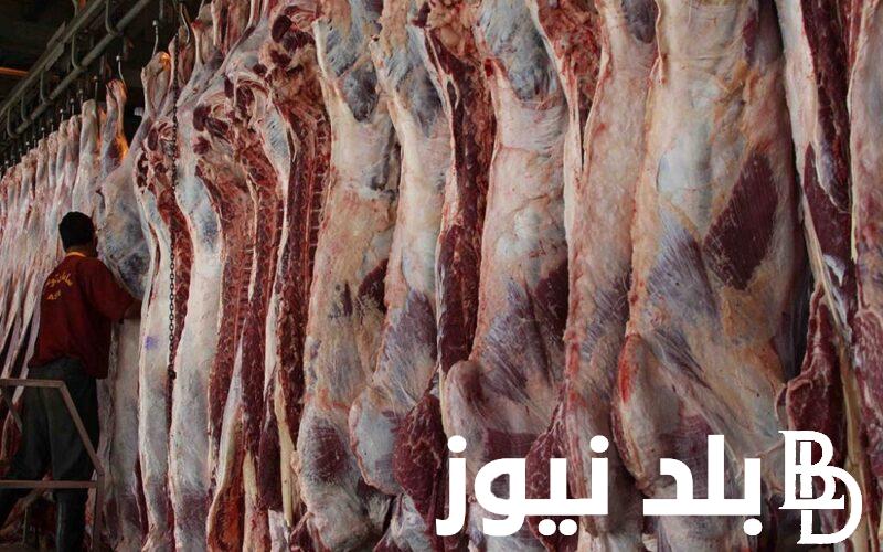 “بلدي وضاني”.. سعر اللحوم اليوم السبت 27 ابريل 2024 للمستهلك في السوق المحلي وجميع منافذ البيع الخاصة بالدولة