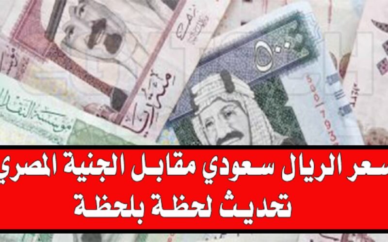 “السعودي بكام؟” سعر الريال السعودي اليوم في البنك الأهلي وجميع البنوك المصرية الاربعاء 8 مايو 2024