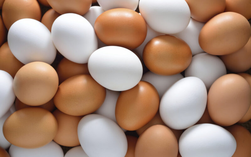 البيضة بكام؟ سعر طبق البيض اليوم السبت 4-5-2024 للمُستهلك وللتجار بجميع الاسواق المحلية