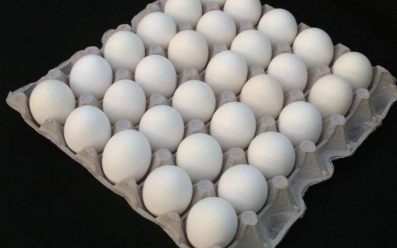 “البيضة بـ4” سعر كرتونة البيض اليوم الثلاثاء 21 مايو 2024 في مصر بالجملة وللمستهلك بجميع الأسواق