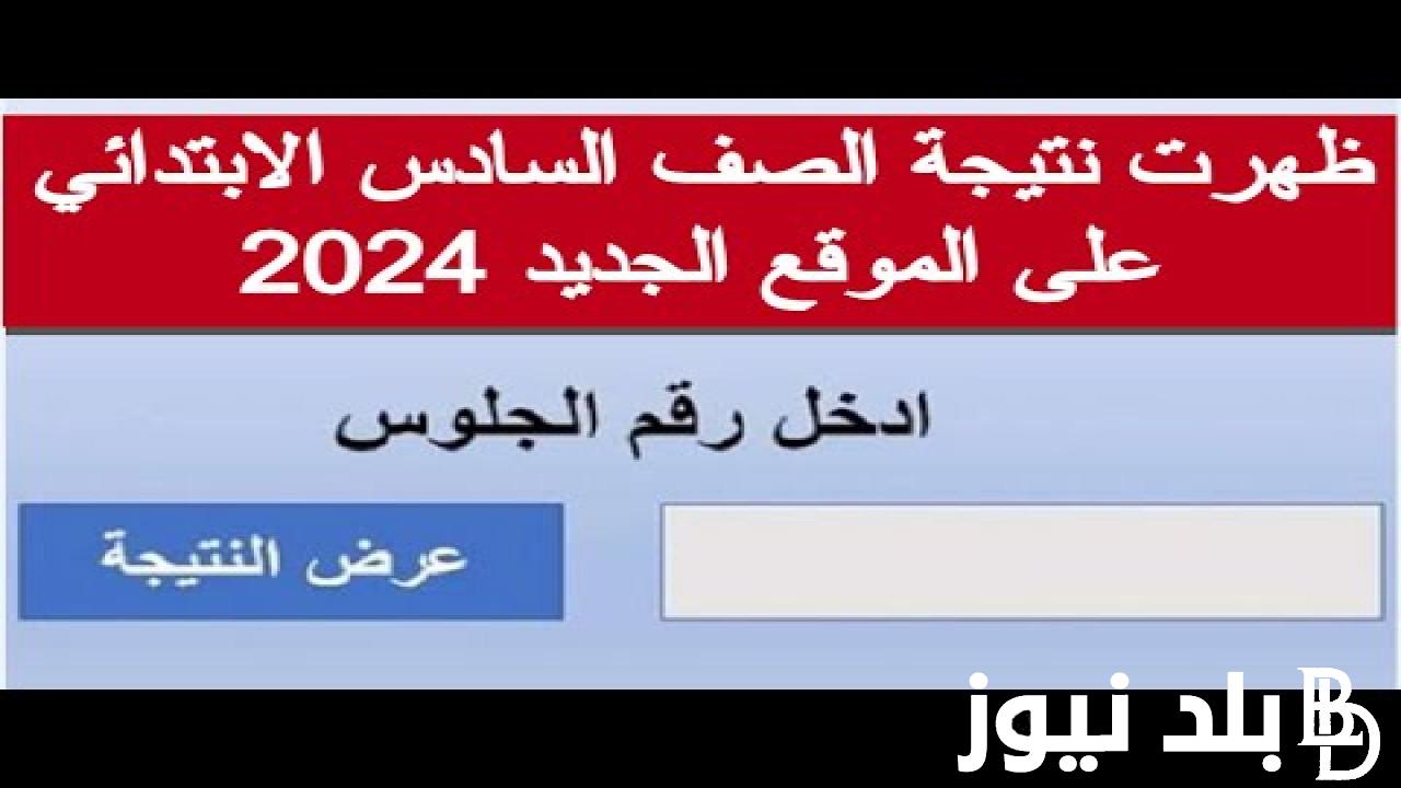 رابط فعال.. نتيجه الصف السادس الابتدائى الترم الثانى 2024 برقم الجلوس عبر بوابة التعليم الاساسي