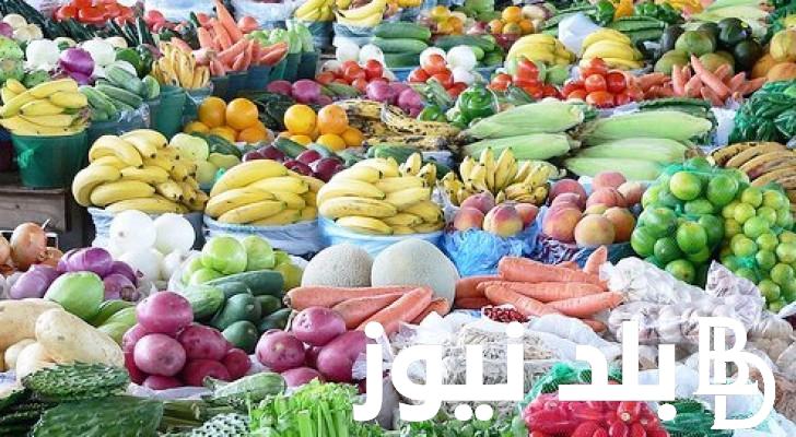 “بطاطس، بصل، طماطم” اسعار الخضار اليوم الثلاثاء 14 مايو 2024 في سوق العبور للمستهلك في مصر