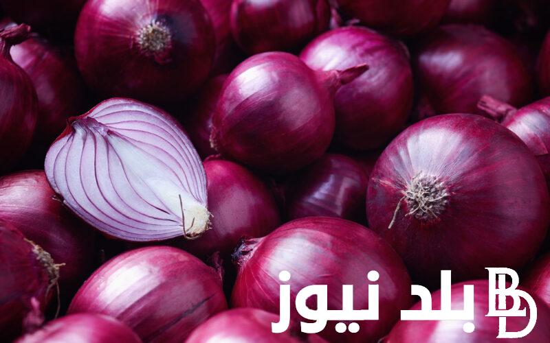 “خزنيلك شوية بصل” أسعار البصل الآن في سوق العبور اليوم الخميس 23 مايو 2024
