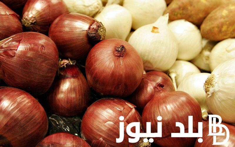 الكيلو بكام؟.. اسعار البصل اليوم الثلاثاء 21 مايو 2024 في سوق العبور وجميع الاسواق