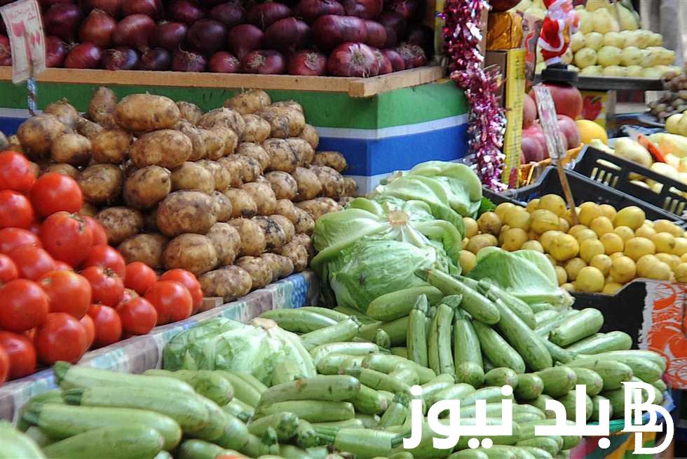 “طماطم وبصل وجزر” وأسعار الخضار اليوم بالكيلو الخميس 30 مايو 2024 في سوق العبور