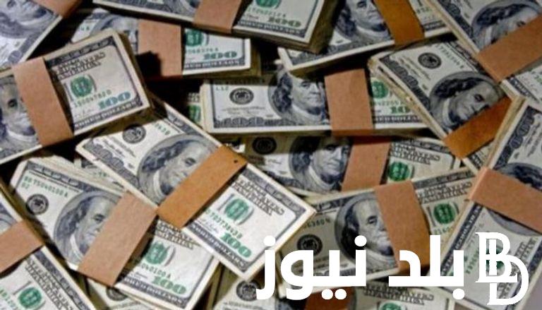 كـل دولار بكام دينار عراقي؟.. سعر صرف الدولار مقابل الدينار العراقي اليوم السبت 18 مايو 2024