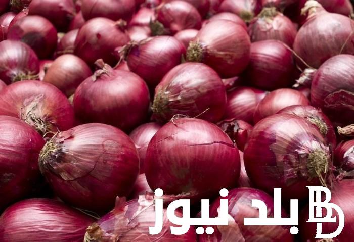 القنطار بكام؟.. اسعار البصل اليوم الاربعاء 15 مايو 2024 في سوق العبور
