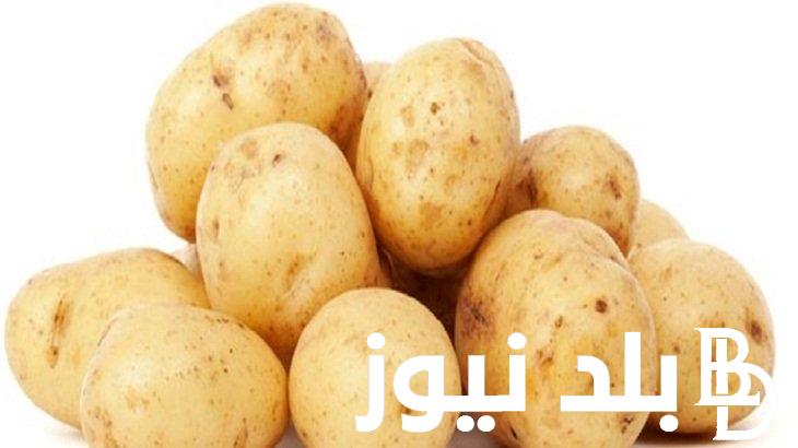الان ننُشر أسعار البطاطس اليوم في سوق العبور بتاريخ الأربعاء 29 مايو 2024