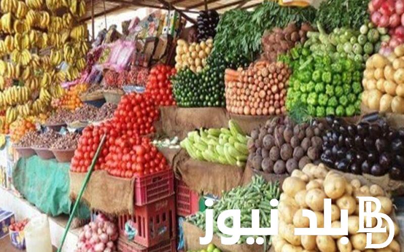 بكام؟.. اسعار الخضار اليوم الخميس 23 مايو 2024 في سوق العبور للمستهلك في مصر